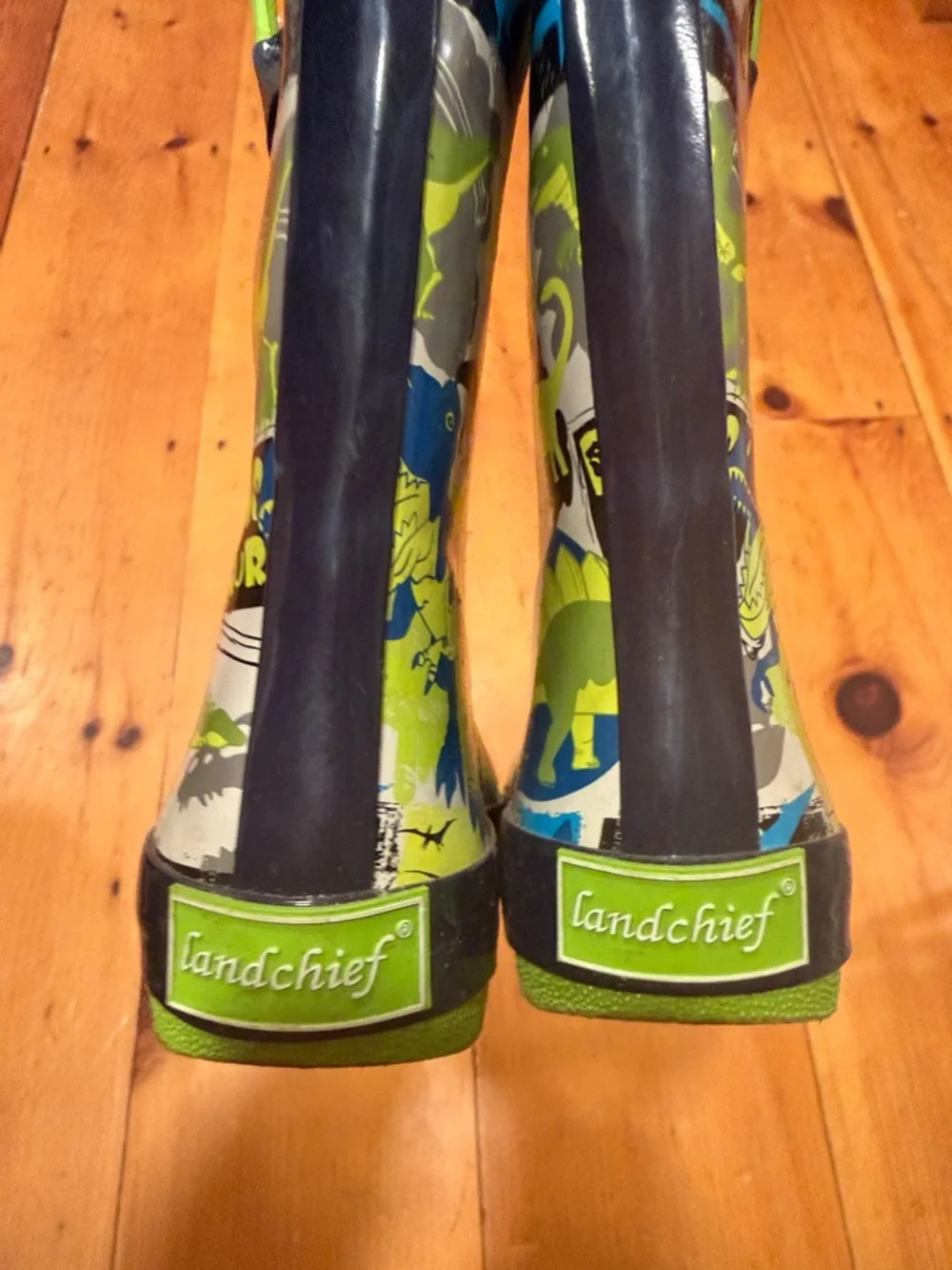 Dinosaur Rain Boots Green & Blue easy pull on Landchief Dino Rainboots 1 Kids